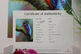 Load image into Gallery viewer, Majesty Print COA