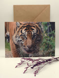 Load image into Gallery viewer, Majestic Sumatran Tiger Greeting Cards