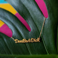 Load image into Gallery viewer, Don't be a dick necklace - Trend Tonic