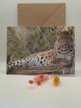 Load image into Gallery viewer, Elegant North-Chinese Leopard Greeting Cards