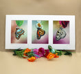 Load image into Gallery viewer, Triple Butterflies I 1