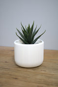 Load image into Gallery viewer, Modern Indoor Planter - 3D Printed - White

