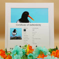 Load image into Gallery viewer, Oystercatcher Painting - Limited Edition Giclee Print of The Eye of the Catcher