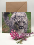 Load image into Gallery viewer, Beautiful Snow Leopard Greeting Cards