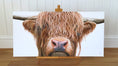 Load image into Gallery viewer, Highland Cow - limited edition giclée canvas print