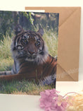 Load image into Gallery viewer, Majestic Sumatran Tiger Greeting Cards