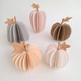 Load image into Gallery viewer, Set of 5 Halloween Pumpkins / Fall Decor / Autumn Home Decor