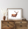 Load image into Gallery viewer, Winter Stag Card: Luxury Christmas Wildlife Greetings Card