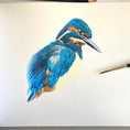 Load image into Gallery viewer, Kingfisher Notecards/Place Cards: Watercolour Art, Thank You Cards, Personalised Option