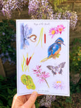 Load image into Gallery viewer, Kingfisher and lily illustrated A5 sticker sheet with nature-inspired, eco-friendly biodegradable stickers for journaling and scrapbooking