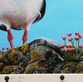 Load image into Gallery viewer, Oystercatcher Painting - Limited Edition Giclee Print of The Eye of the Catcher