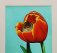 Load image into Gallery viewer, Mouse on a Tulip - Limited Edition Giclee Print