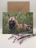 Load image into Gallery viewer, Wild Animal Greeting Cards