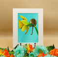 Load image into Gallery viewer, Mouse on a Daffodil - Limited Edition Giclee Print