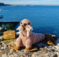 Load image into Gallery viewer, Walrus Crochet Pattern, Wally the Walrus Crochet Pattern, Walrus Amigurumi Pattern, Walrus Crochet Toy Pattern
