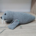 Load image into Gallery viewer, Seal Crochet Pattern, Sandy the Seal Crochet Pattern, Seal and Seal Pup Amigurumi Pattern, Seals Crochet Toy Pattern