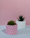 Load image into Gallery viewer, 3D Printed Pink Indoor Plant Pot