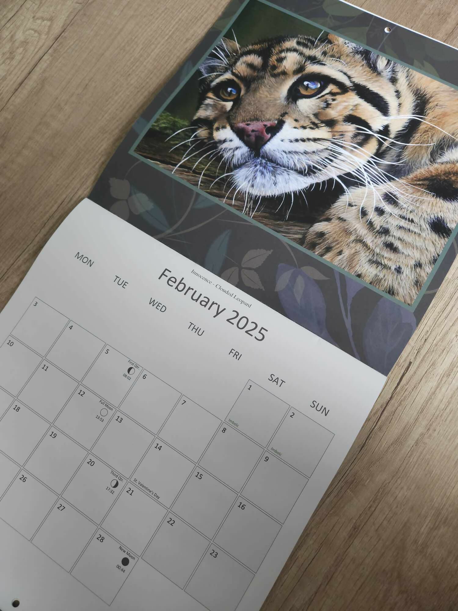 2025 calendar of wildlife art