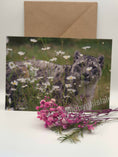 Load image into Gallery viewer, Beautiful Snow Leopard Greeting Cards
