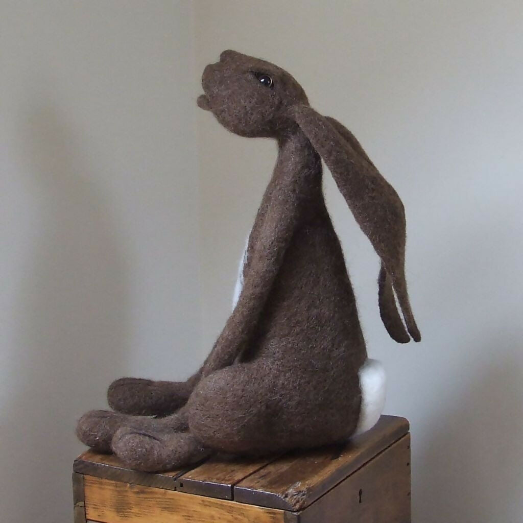 Seated Hare