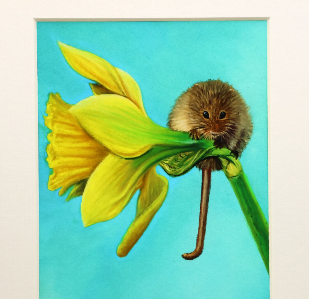 Mouse on a Daffodil - Limited Edition Giclee Print