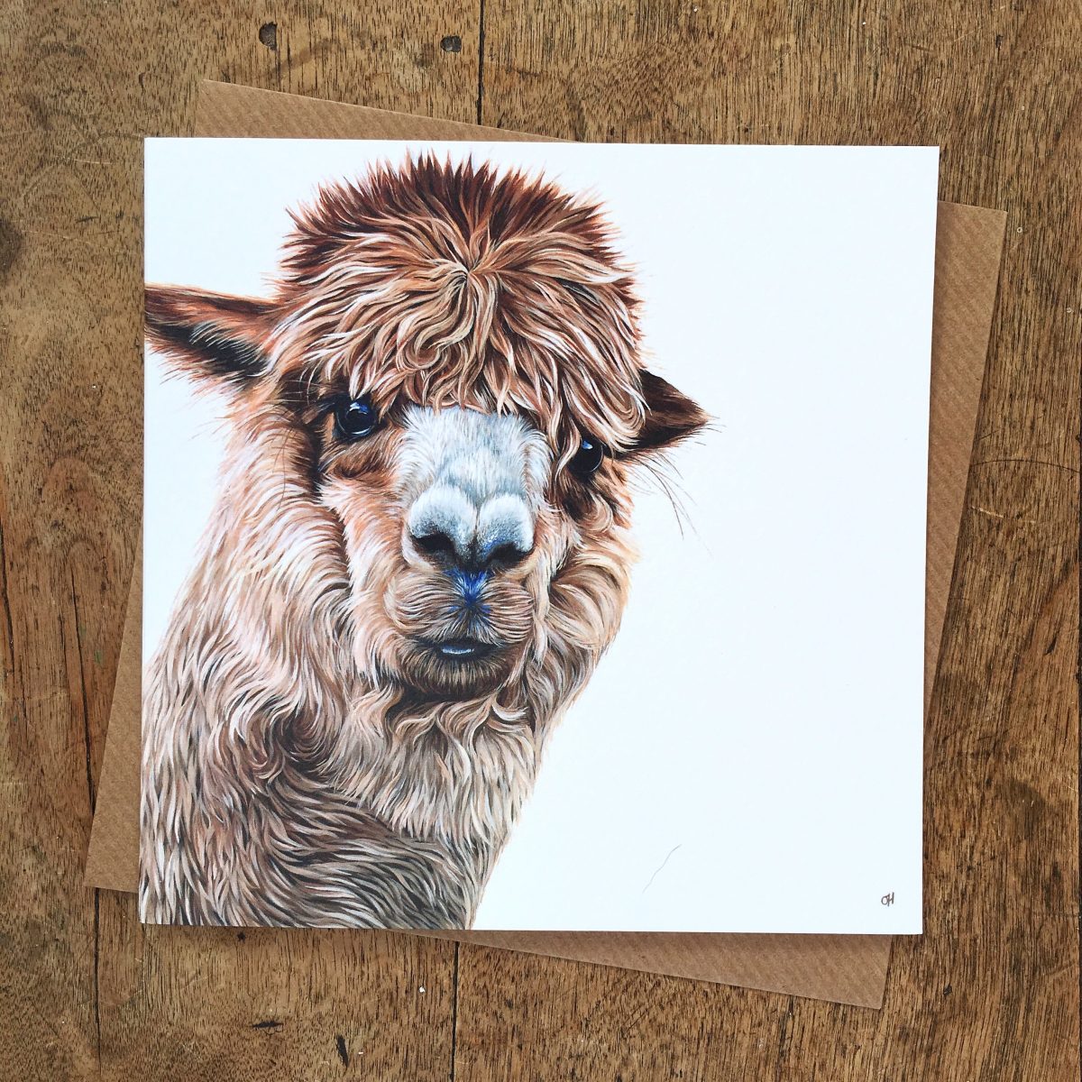 Alpaca Greetings Card