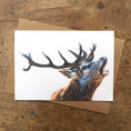 Load image into Gallery viewer, Animal Notecards - pack of 4 x A6 notecards in one design
