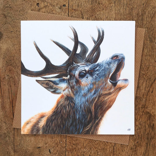 Bellowing Stag Greetings Card