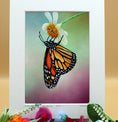 Load image into Gallery viewer, Monarch 2
