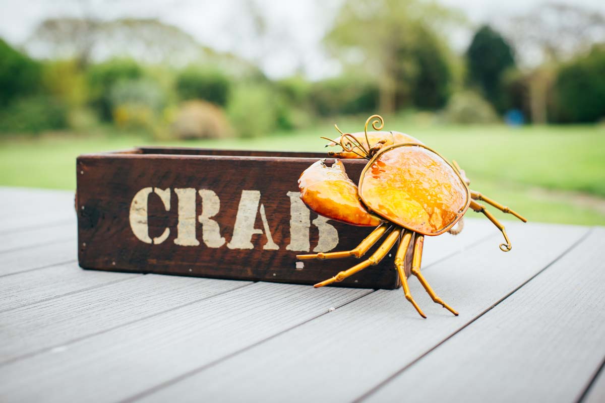 Crab art