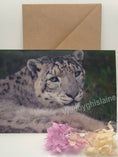 Load image into Gallery viewer, Beautiful Snow Leopard Greeting Cards
