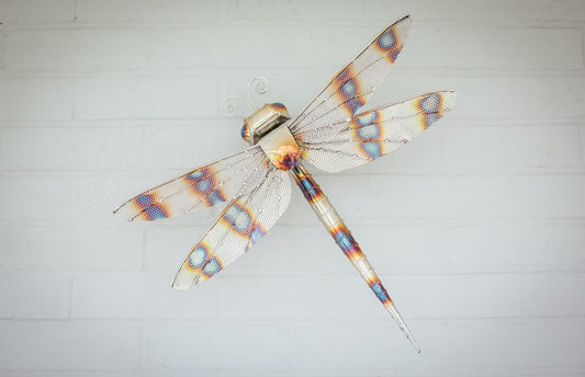 Dragon fly sculpture
