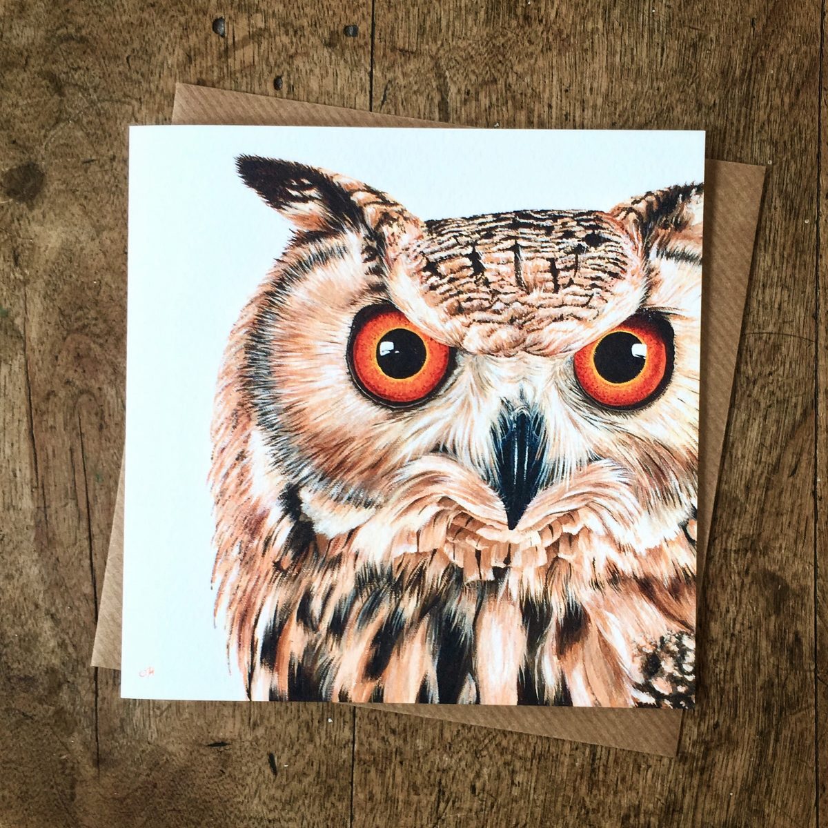 Eagle Owl Greetings Card