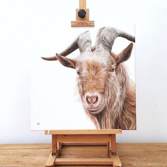 Golden Guernsey Goat - limited edition giclée canvas print