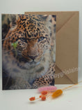 Load image into Gallery viewer, Elegant North-Chinese Leopard Greeting Cards

