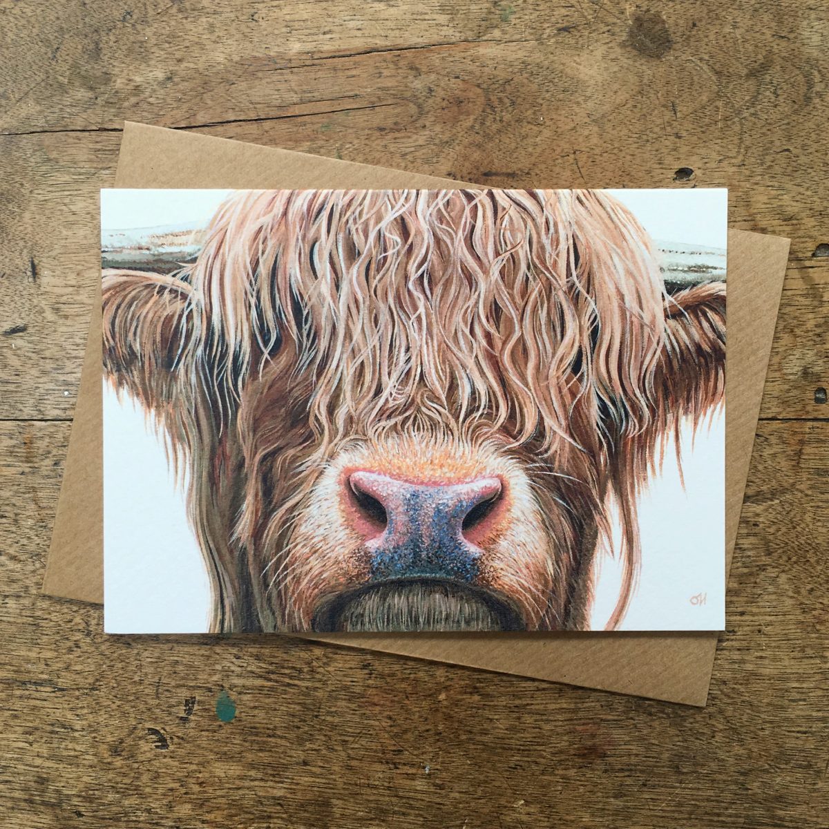 Animal Notecards - pack of 4 x A6 notecards in one design