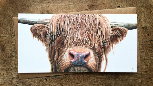 Highland Cow Greetings Card