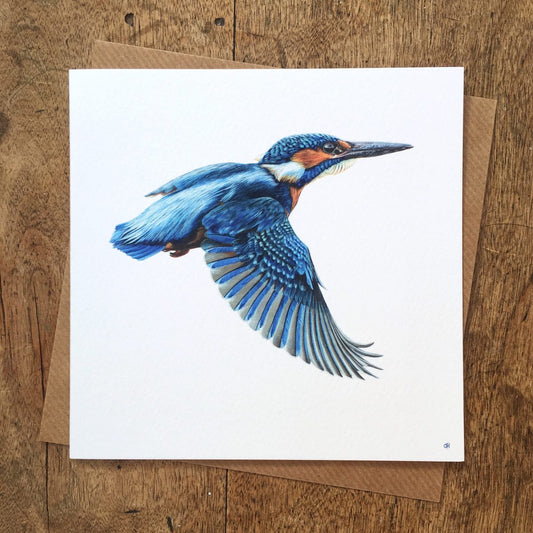 Kingfisher Greetings Card