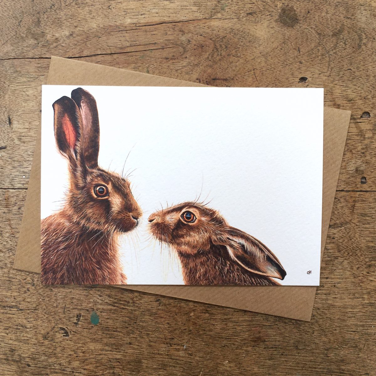 Animal Notecards - pack of 4 x A6 notecards in one design
