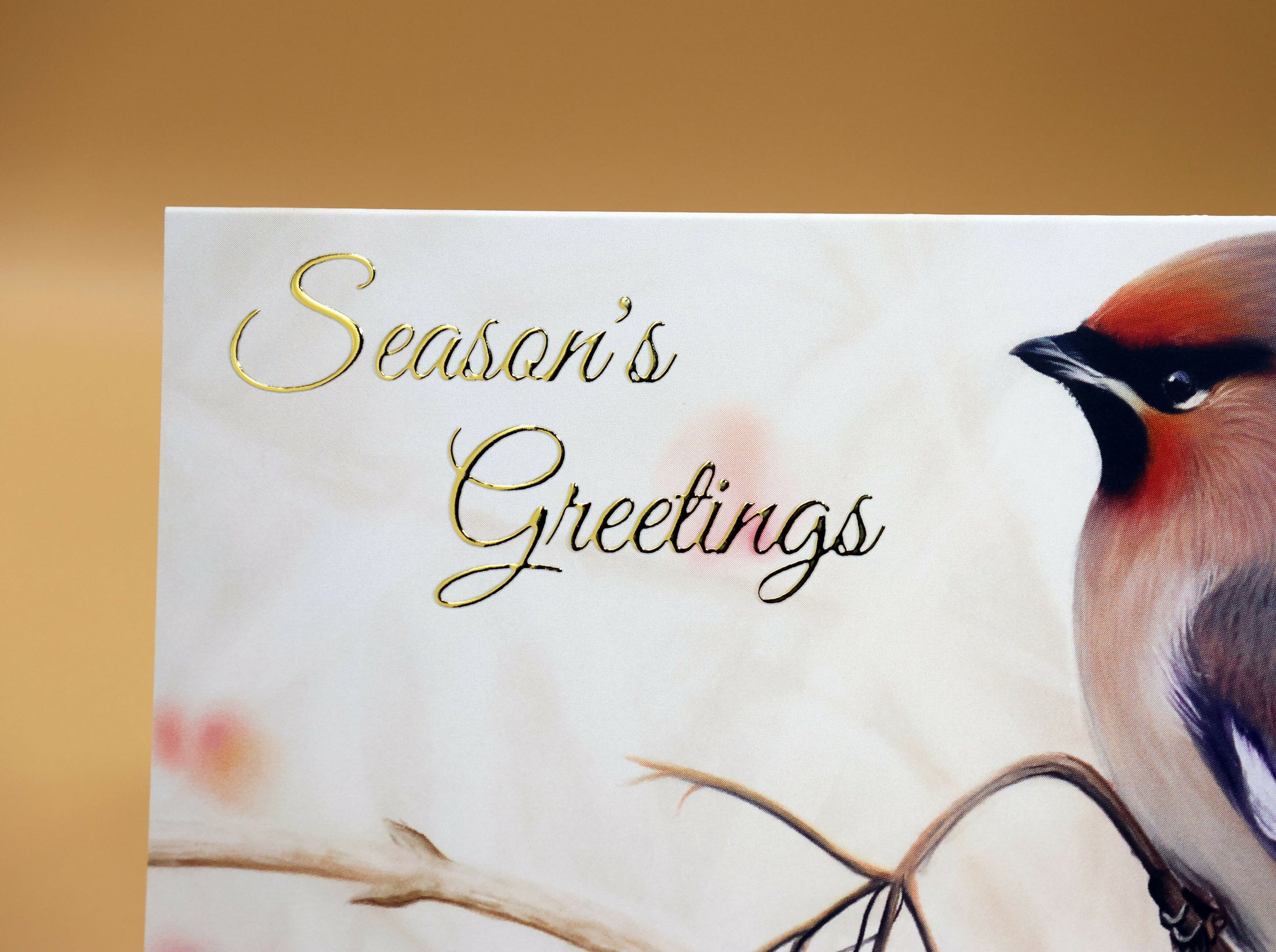 Waxwingchristmascard4