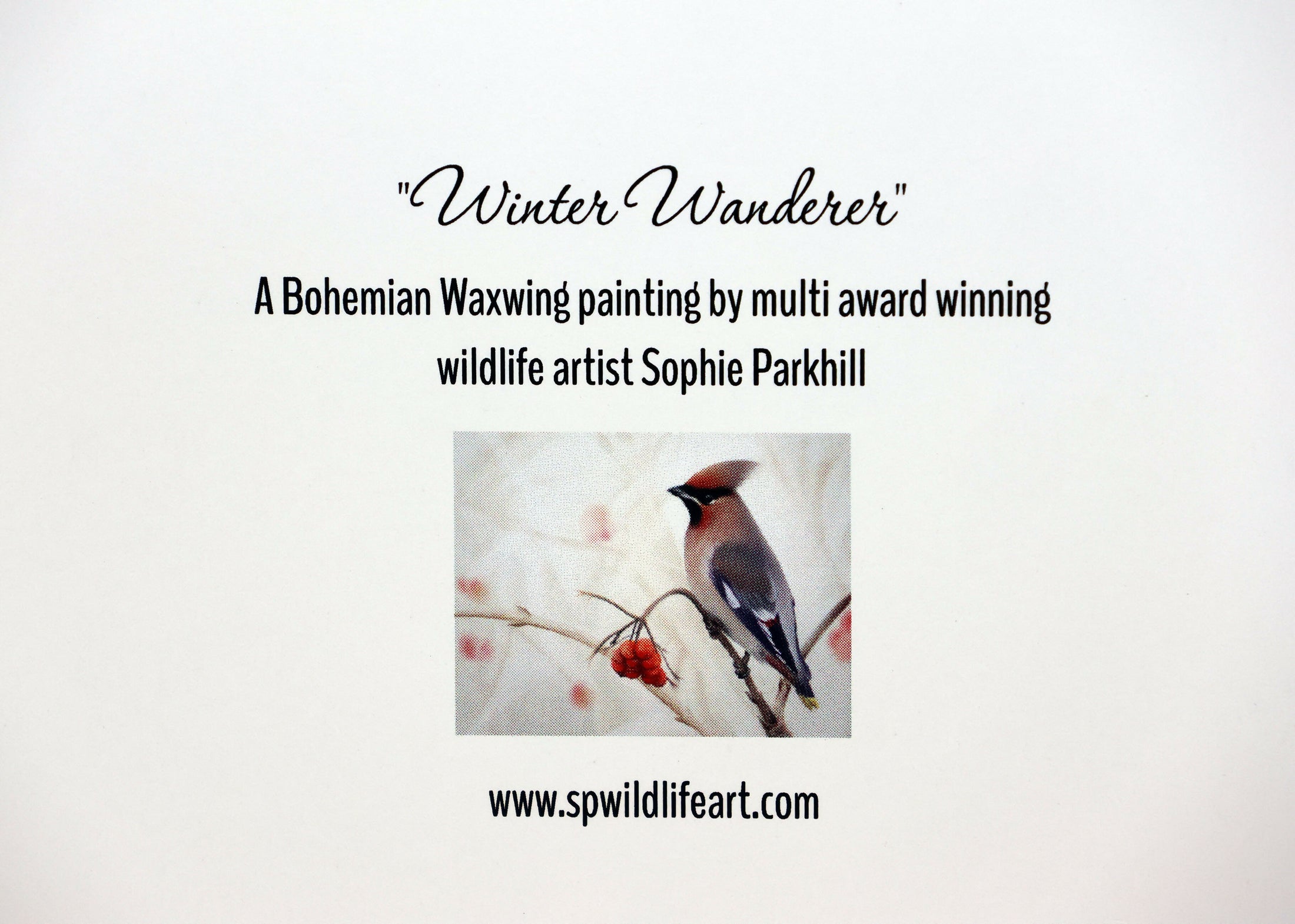 Waxwingchristmascard9