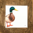 Load image into Gallery viewer, Mallard Duck Greetings Card
