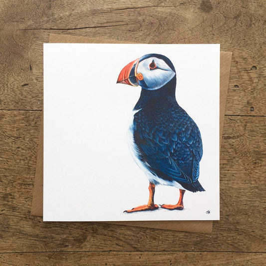 Puffin Greetings Card