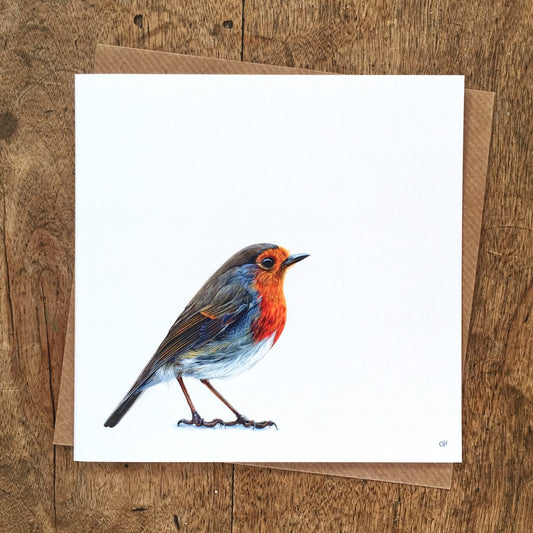 Robin Greetings Card