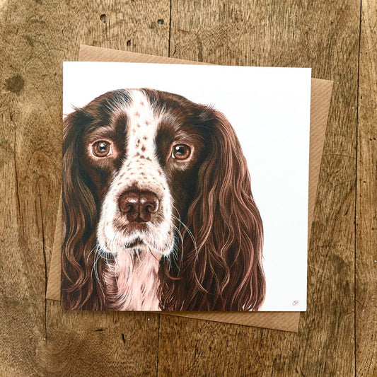 Springer Spaniel Greetings Card