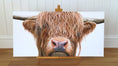 Load image into Gallery viewer, Highland Cow - limited edition giclée canvas print
