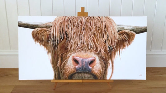 Highland Cow - limited edition giclée canvas print