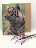 Load image into Gallery viewer, Majestic Sumatran Tiger Greeting Cards
