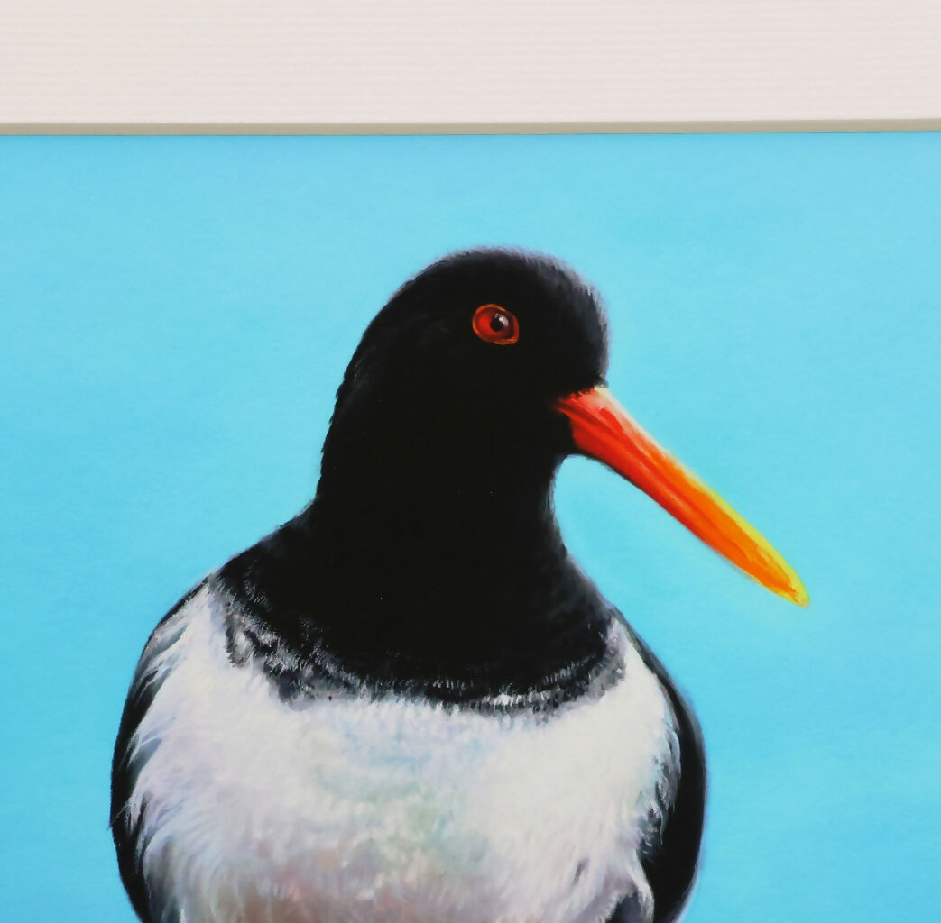 Oystercatcher Painting - Limited Edition Giclee Print of The Eye of the Catcher