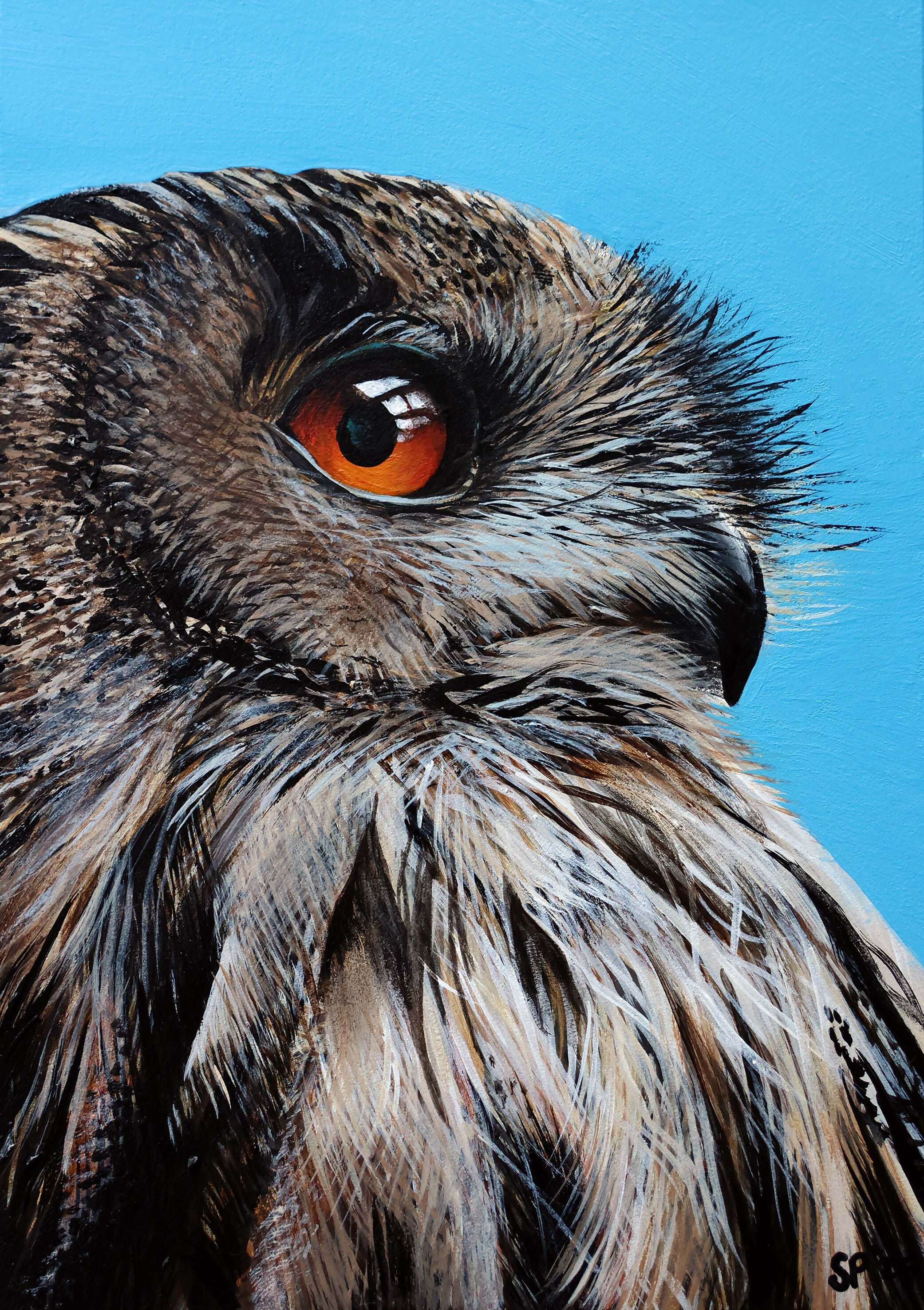 Eagle Owl Contemplation - Limited Edition Giclee Print